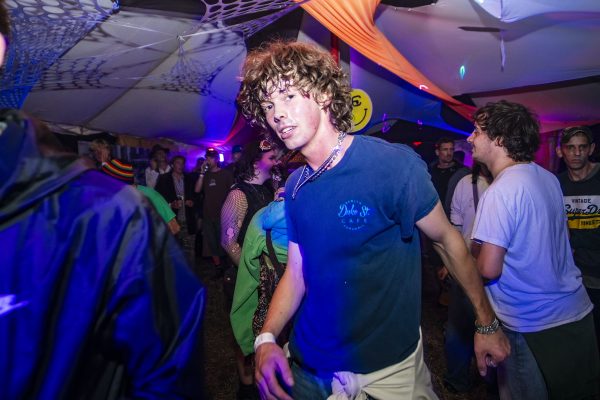 Curly_3